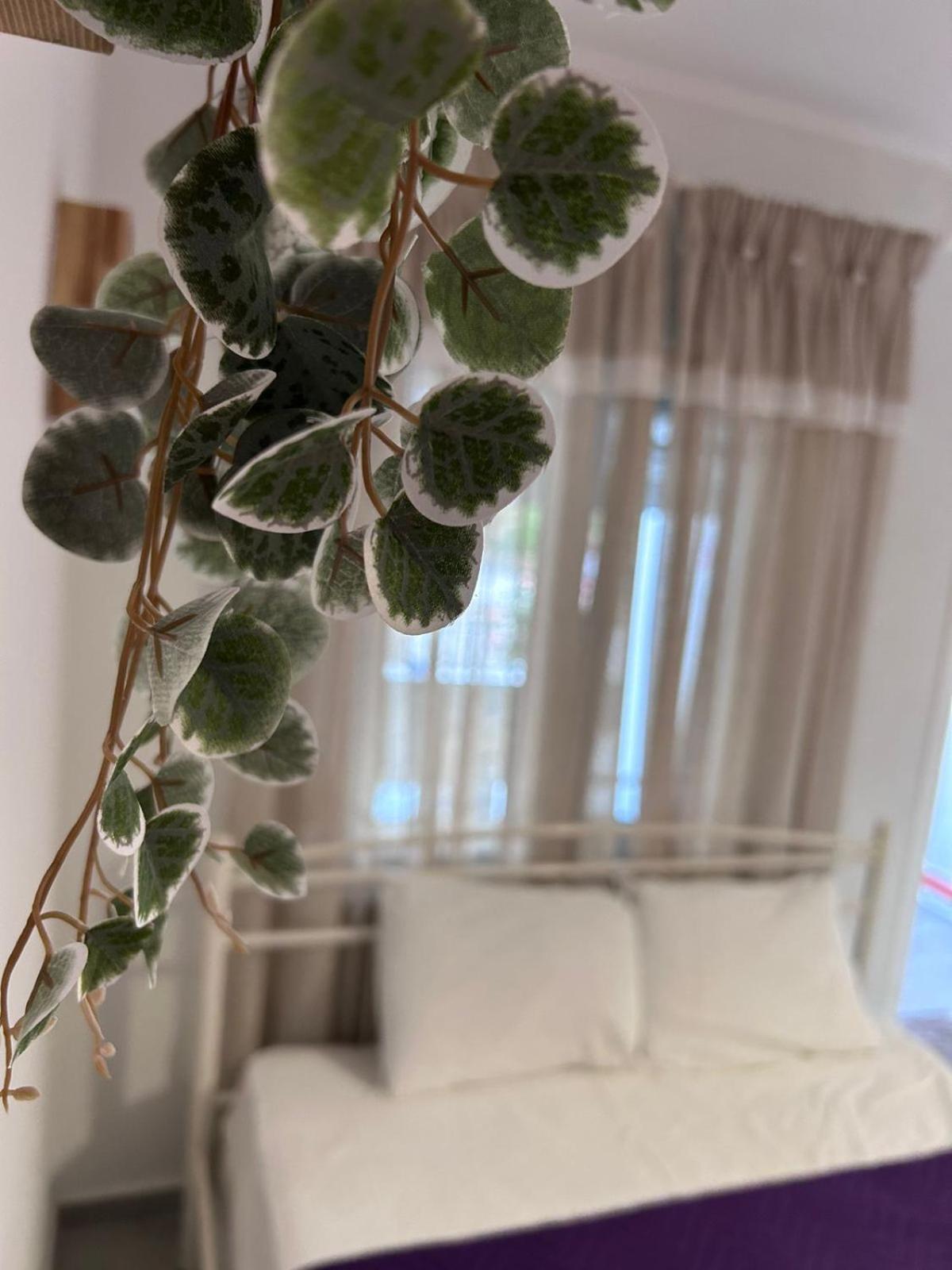 Amaya Pine Rooms 克拉默特 外观 照片