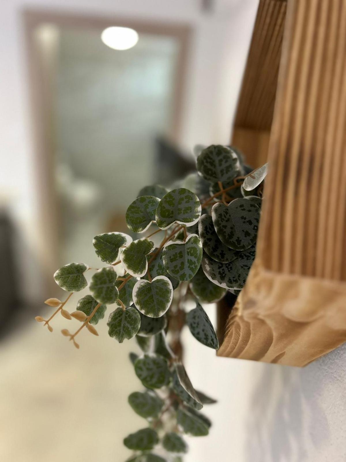 Amaya Pine Rooms 克拉默特 外观 照片